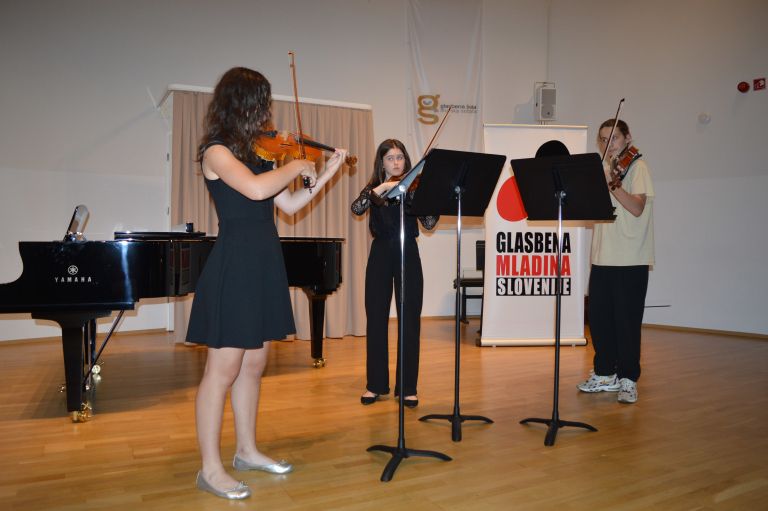 glasbena-mladina-slovenije, koncert, poletni-tabor, glasbeniki