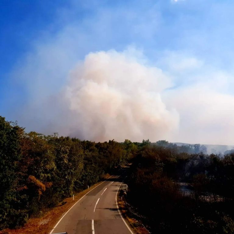 kras, požar, evakuacija