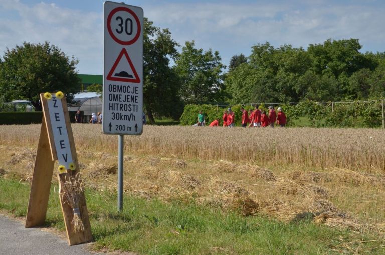 goričko, skavti, belgija