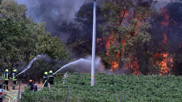 kostanjevica na krasu, požar, 22.7..JPG