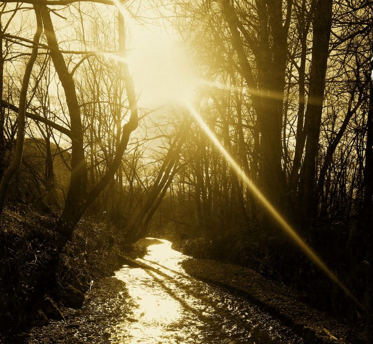 reka, voda, suša, sonce, sočni vzhod, sončni zahod