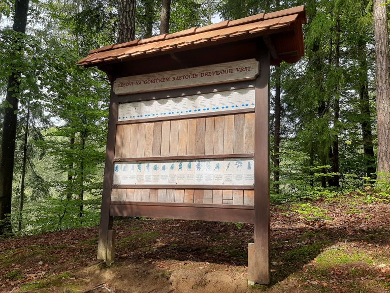 gozdna-učna-pot-tromejnik, tromejnik, tromeja