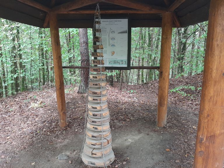 gozdna-učna-pot-tromejnik, tromejnik, tromeja