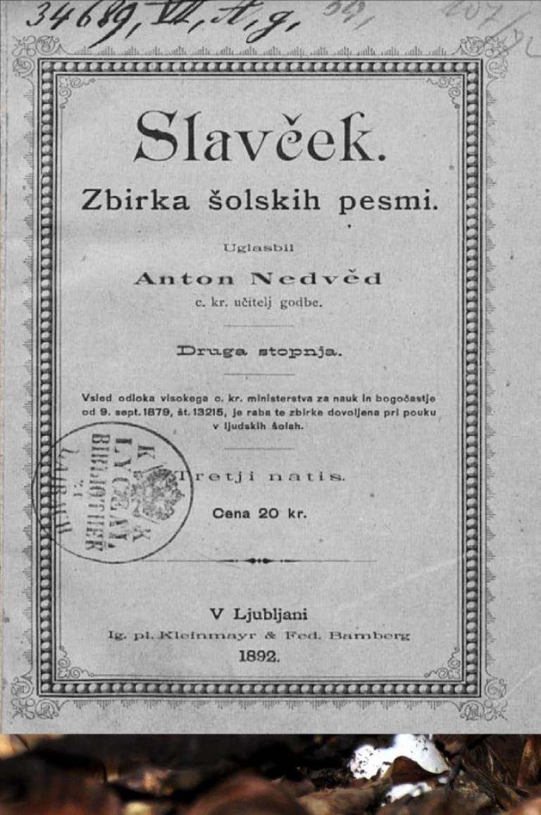_zsetina__2_.jpg