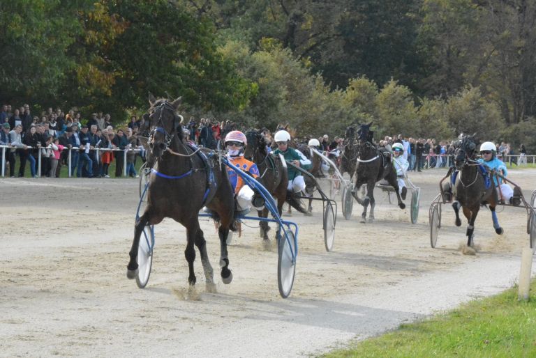 kasaške-dirke, ljutomer