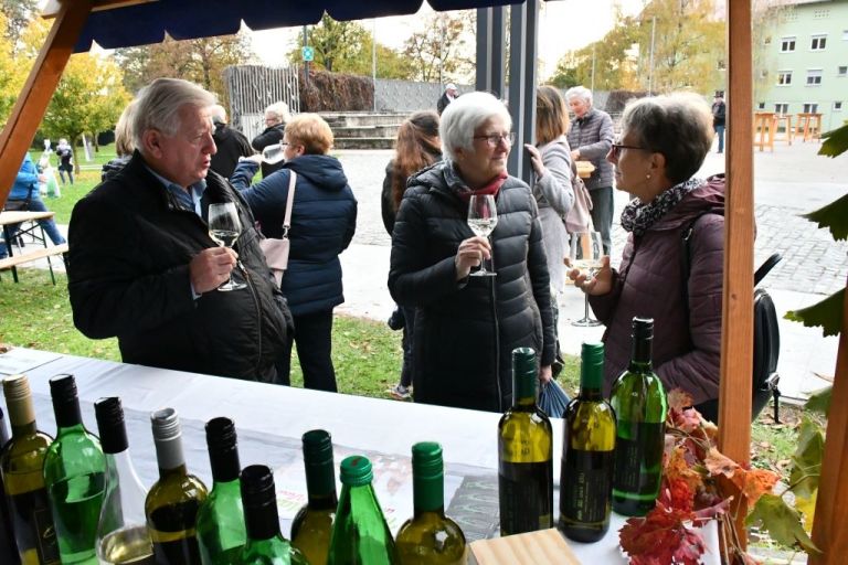 martinovanje, lendava, vlado-kreslin