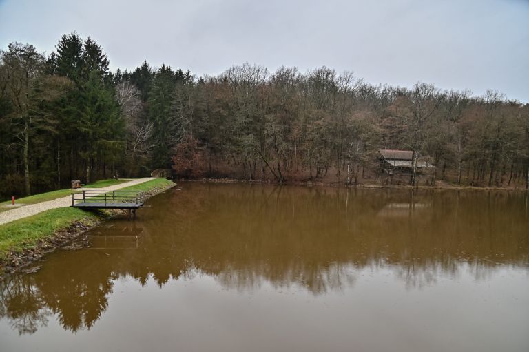 bukovniško-jezero, bukovniško, bukovnica, jezero, polno, dobrovnik