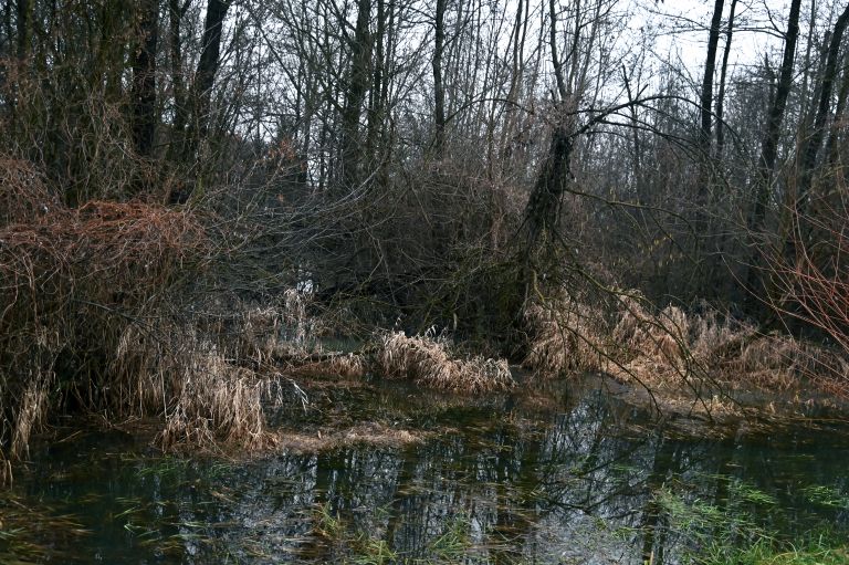 poplave, obilno-deževje, poplavljena-polja, sodišinci, poplavljeni-sodišinci