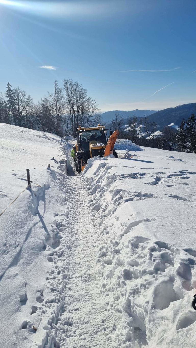 pdg-trbovlje-mesto, mrzlica, zameti