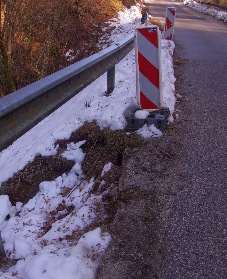 bobri_003.jpg