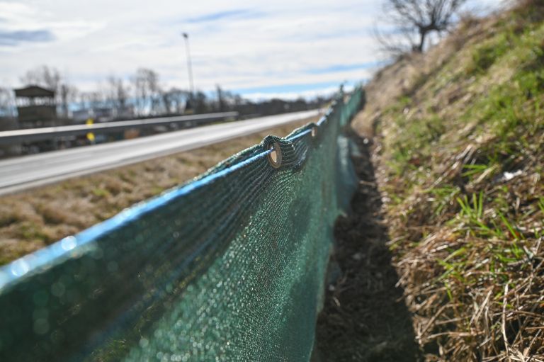 žabe, zaščitna-mreža, krajinski-park-goričko, ceste