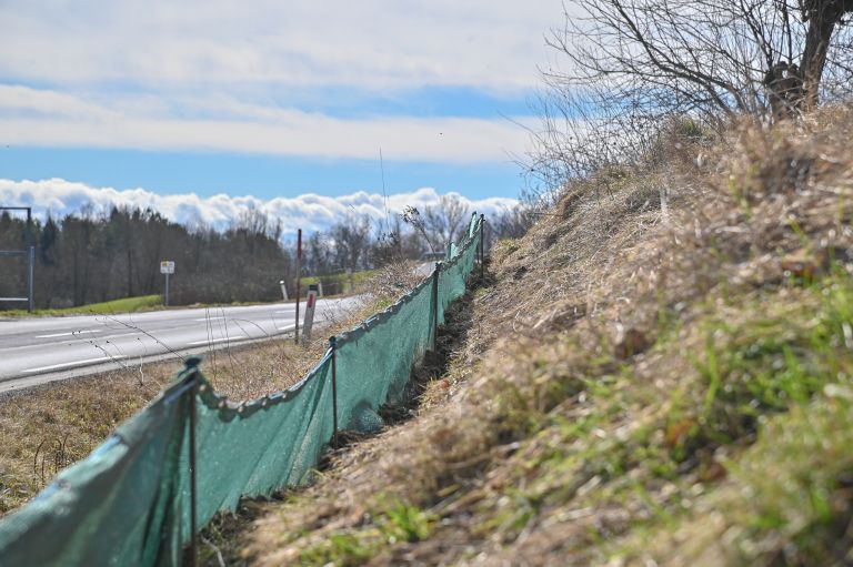 žabe, zaščitna-mreža, krajinski-park-goričko, ceste