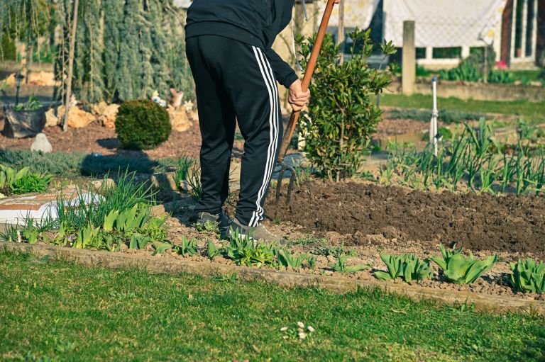 simbolična, vrt, delo-na-vrtu, vrtnarjenje, okolica-hiše