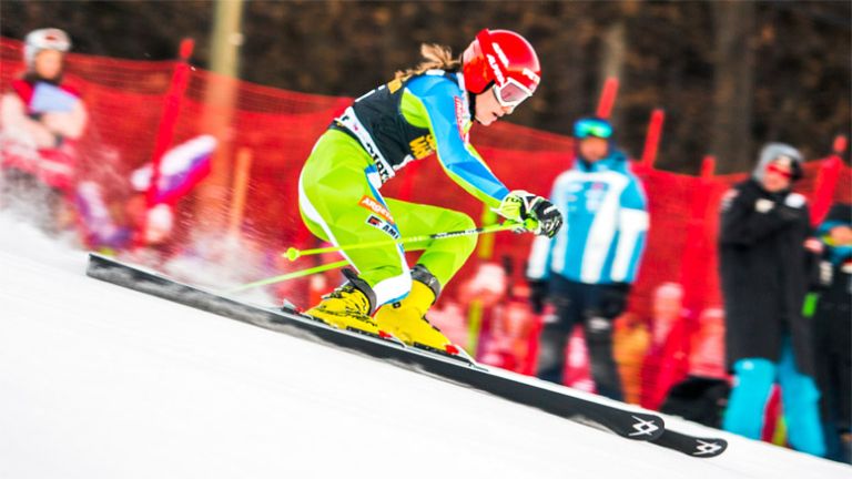 ana drev zlata lisica