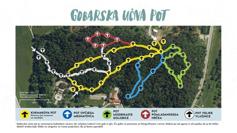 gobarska-ucna-pot