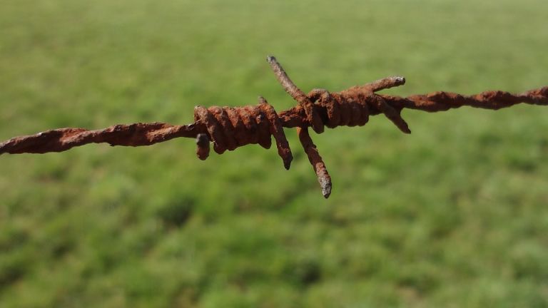 žica, ograja