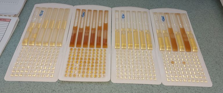 Analize_laboratorij_legionela