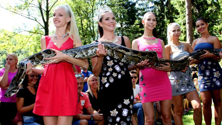 manekenke-in-kaca-piton-bobo