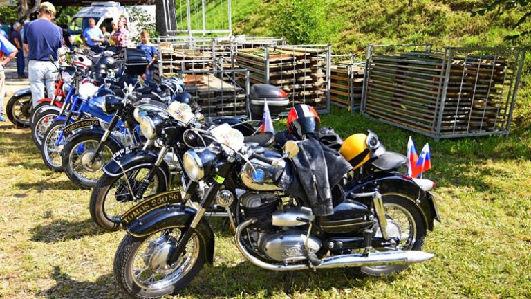 starodobniki-Gaj-(1)