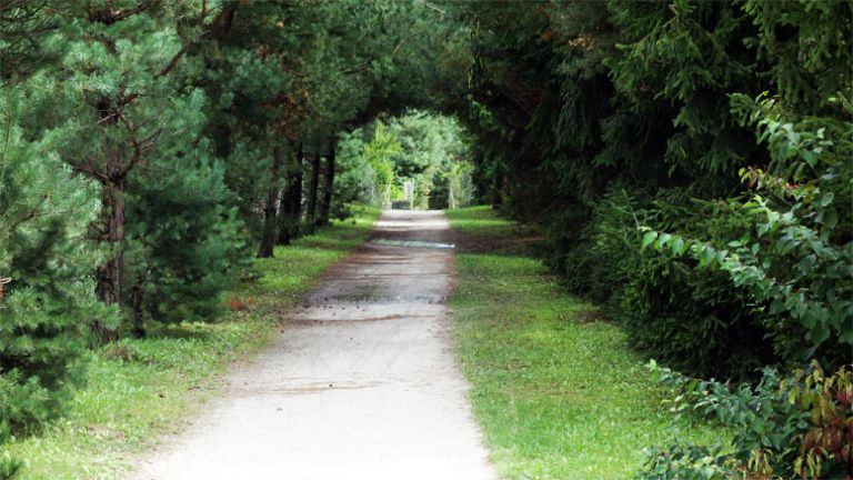 sprehajalna_pot_sostanj