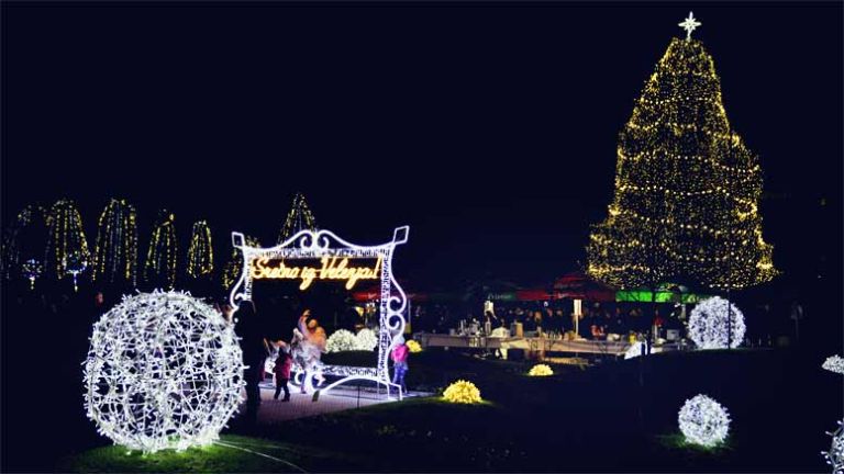 velenje_lucke_roman_bor