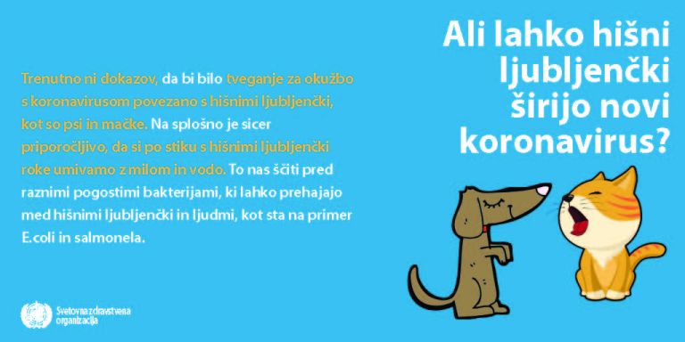 Prenos koronavirusa s hišnih ljubljenčkov