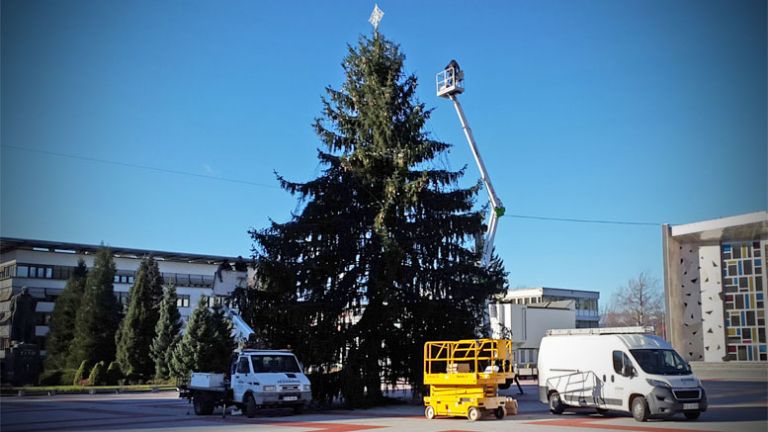 okrasevanje_novoletne_smreke_titov_trg_velenje
