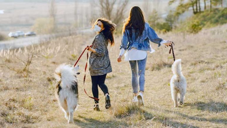 nemcija-obvezen-sprehod-psov