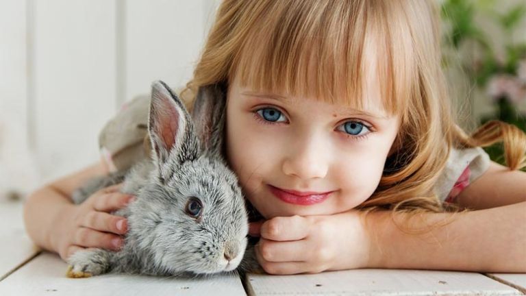 kmetija-zivali-zajec