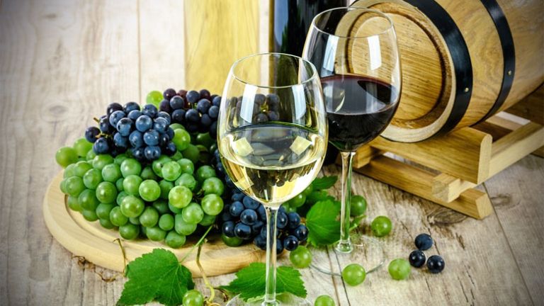 vino-vinska-pot-vinogradniki