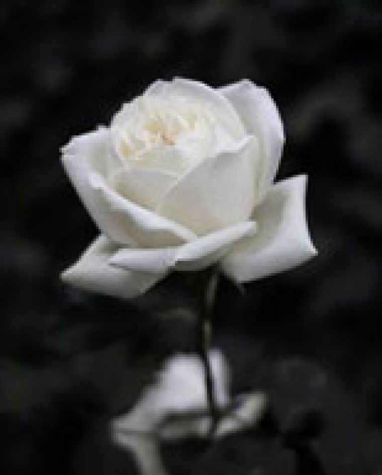 rudolf-črešnik-1942