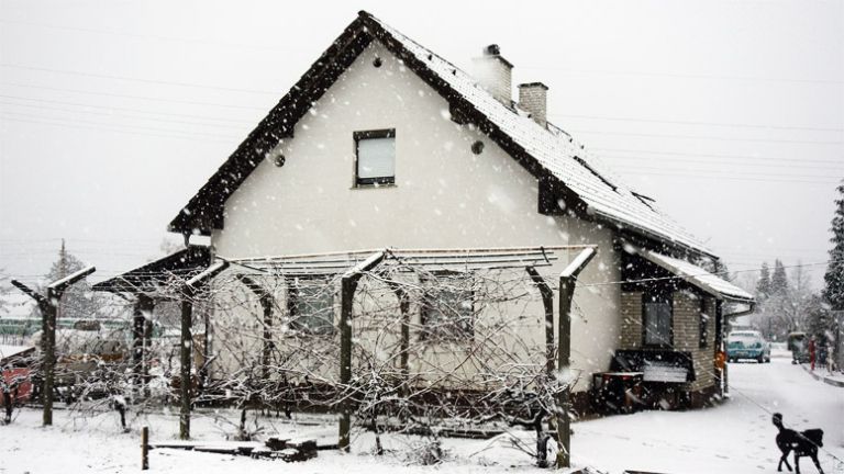 center hisa brezdomci