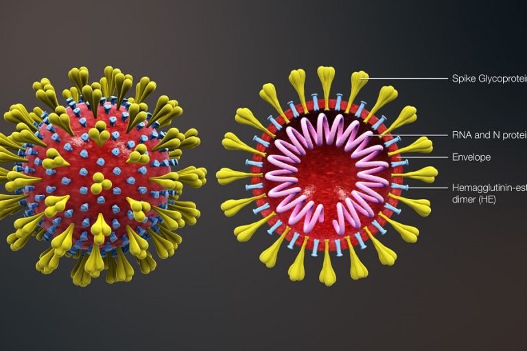 Corona virus