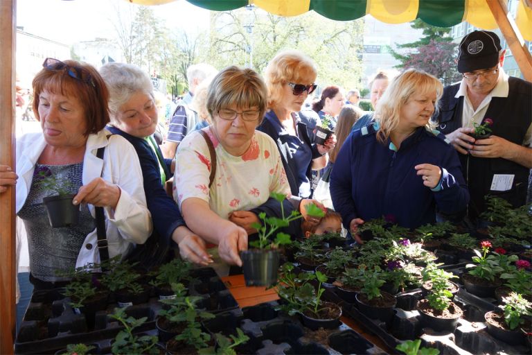 cvetlicni-pomladni-sejem6