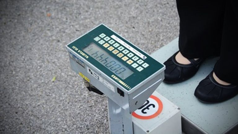 varno-v-prometu-naletna-tehtnica