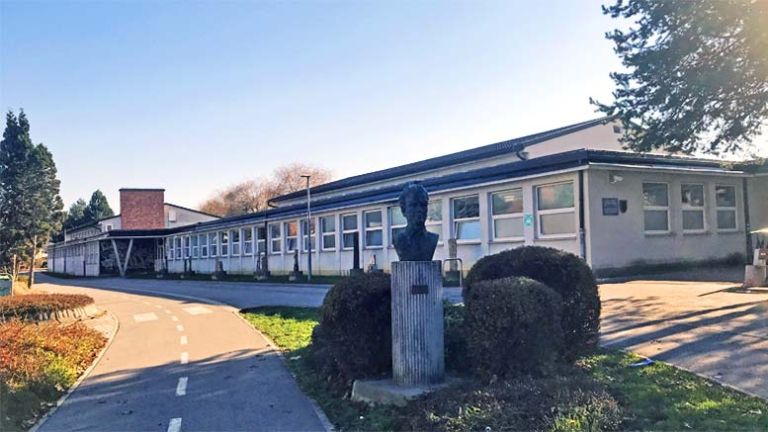 mpt-miha-pintar-toledo