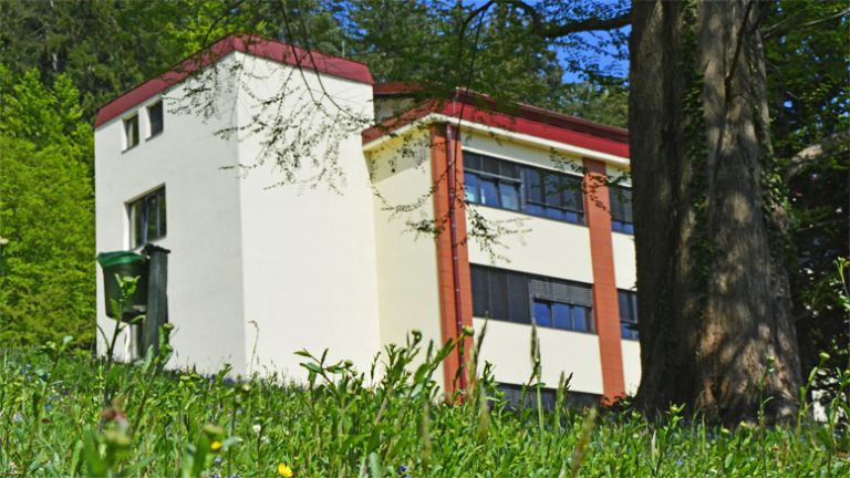 bolnica_topolsica_trava