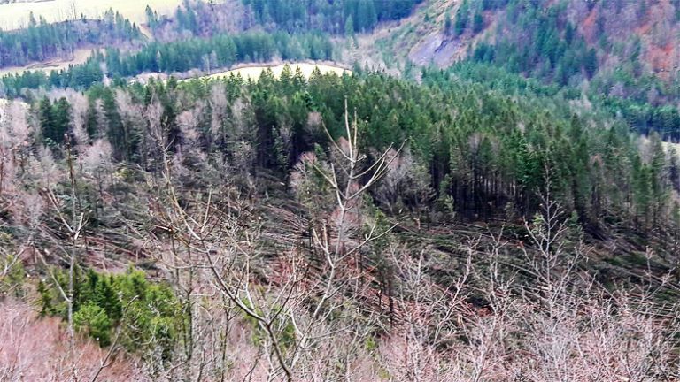 vetrolom_veter_skoda