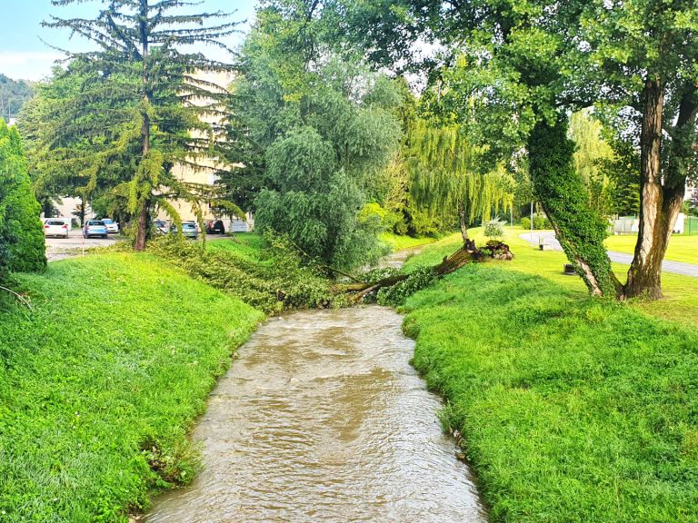 Deževje 29.7.2020 (Large)