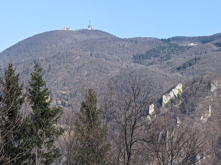 _zsvibno__03_.jpg