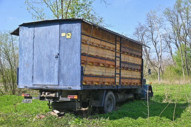 simbolična, čebele, priloga-slovenske-počitnice, apiturizem