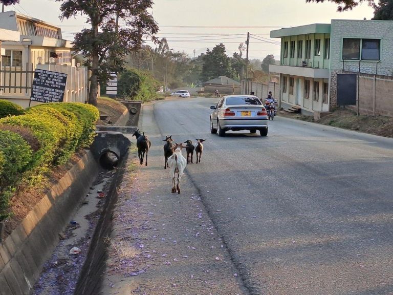 arusha_2.jpg
