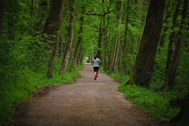 simbolična, rekreacija, tek, trimčkanje, fazanerija, gibanje, telovadba