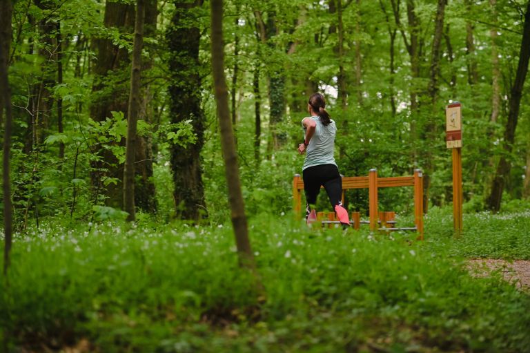 simbolična, rekreacija, tek, trimčkanje, fazanerija, gibanje, telovadba