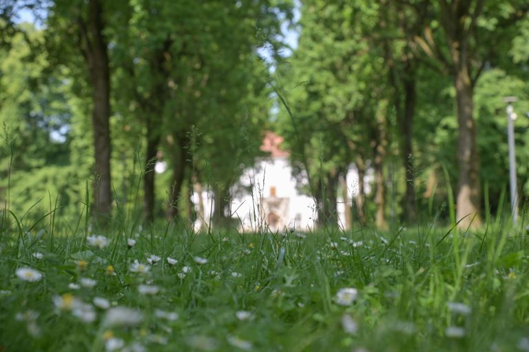 simbolična, park, pomlad, drevored, grad