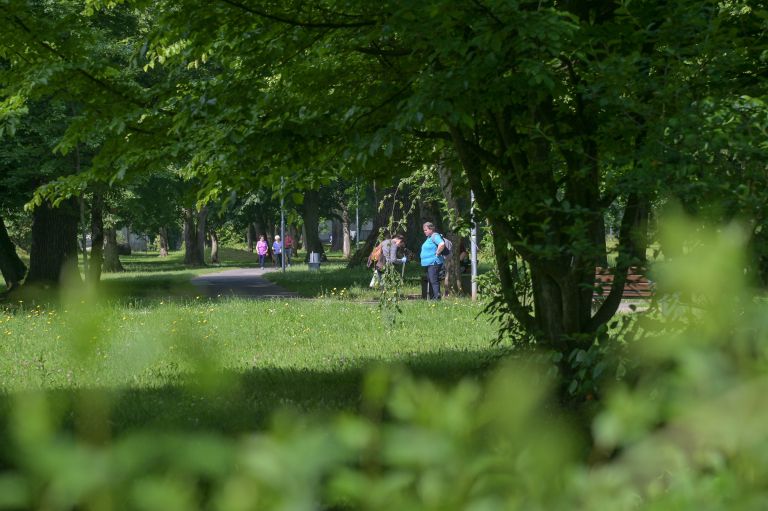 simbolična, park, pomlad, drevored, grad