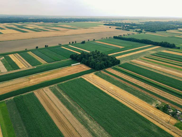 simbolična, dron, polja, polje, njiva, njive, kmetijstvo, poljedelstvo