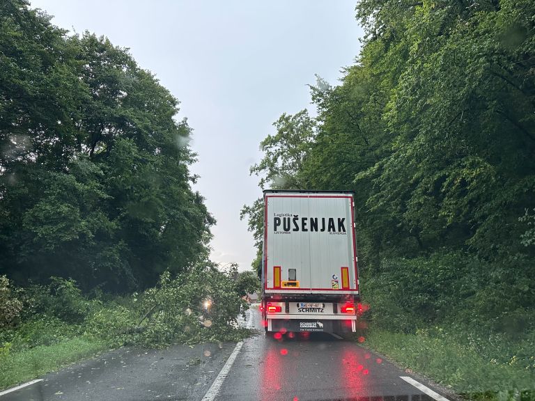 nevihta, veter, podrta-drevesa