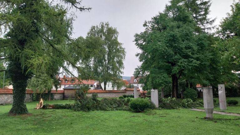 _zribnica__2_.jpg