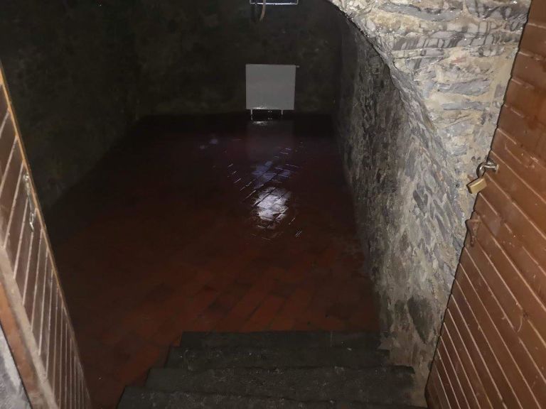 _knjiznica__10_.jpg